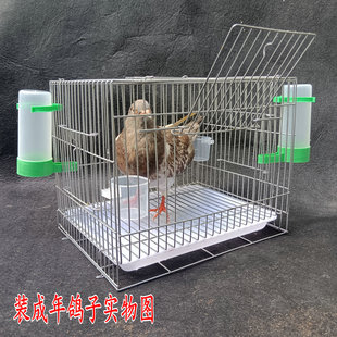遛鸟外出笼画眉八哥玄凤小太阳鹦鹉隔离洗澡笼大空间抗变形小鸟笼