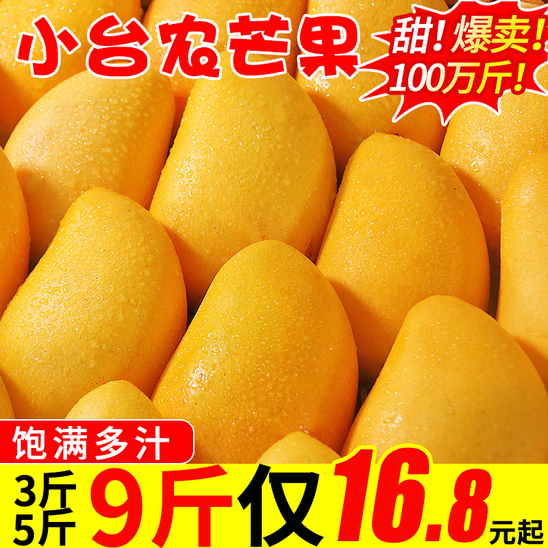 海南小台农芒果9斤现摘热带小台芒果甜水果新鲜应当季整箱包邮10