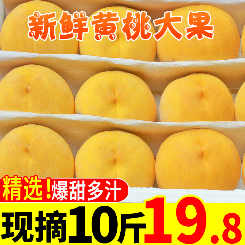 新鲜黄桃10斤桃子当季现摘脆桃应季新鲜水果桃子孕妇整箱批发包邮