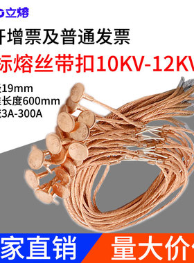 带扣高压国标熔丝10KV/100A150A200A250A跌落式熔断器RW用保险丝1