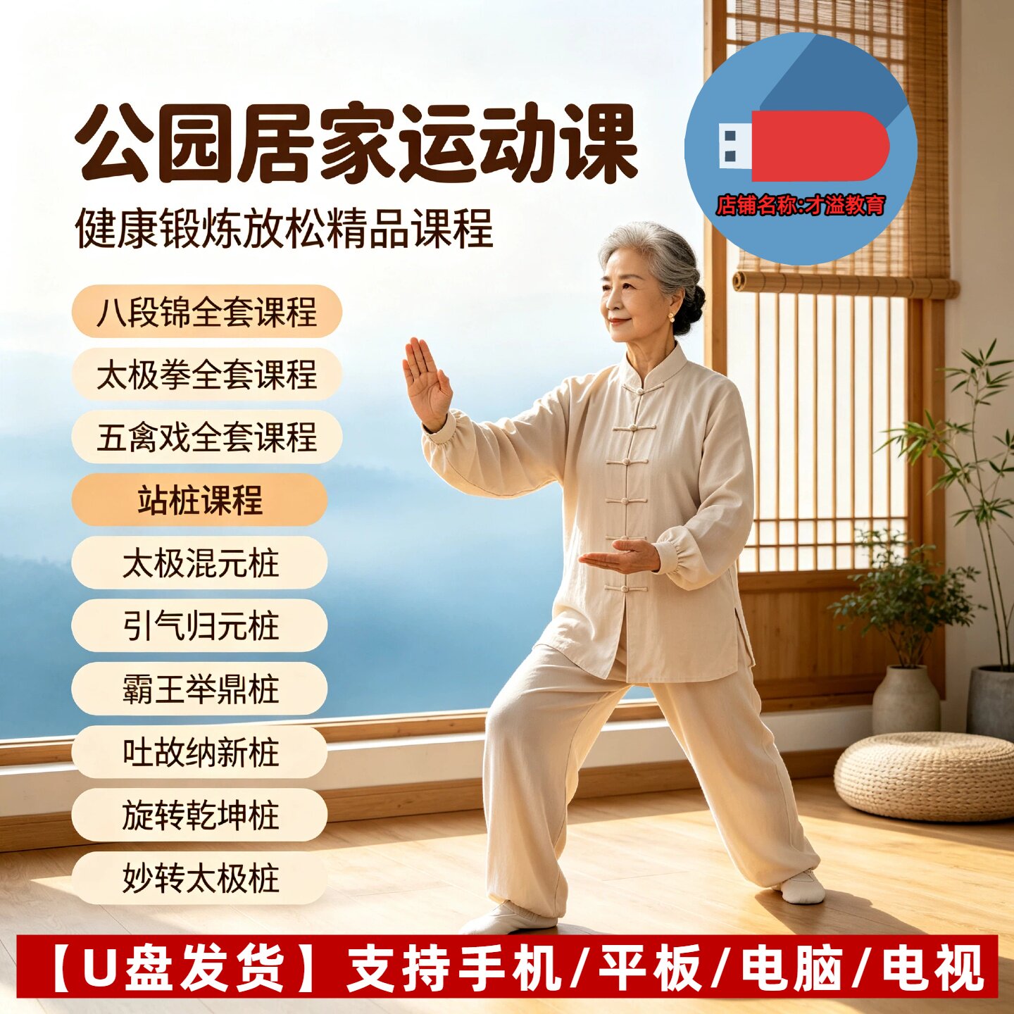 中老年人健身气功课程八段锦五禽戏太极拳站桩运动视频教程U优盘