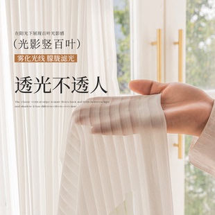 光影竖百叶纱帘遮光窗帘透光不透人白色飘窗阳台遮阳窗纱新款 白纱