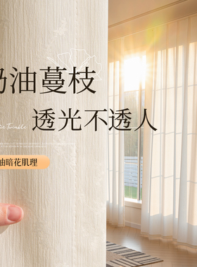 纱帘透光不透人白色窗纱阳台防晒隔热客厅隐私2026新款幻影纱窗帘