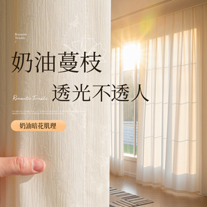 纱帘透光不透人白色窗纱阳台防晒隔热客厅隐私2026新款幻影纱窗帘