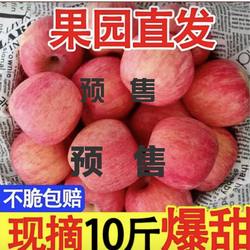 甘肃天水秦安早熟红富士苹果高海拔山区应季水果新鲜水果整箱包邮