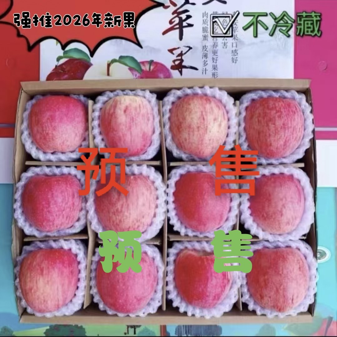 甘肃静宁 早熟红富士苹果 应季水果 新鲜水果 现摘现发 整箱包邮