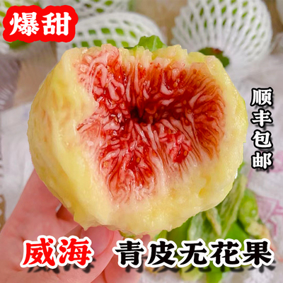 现摘现发威海青皮无花果立减10元