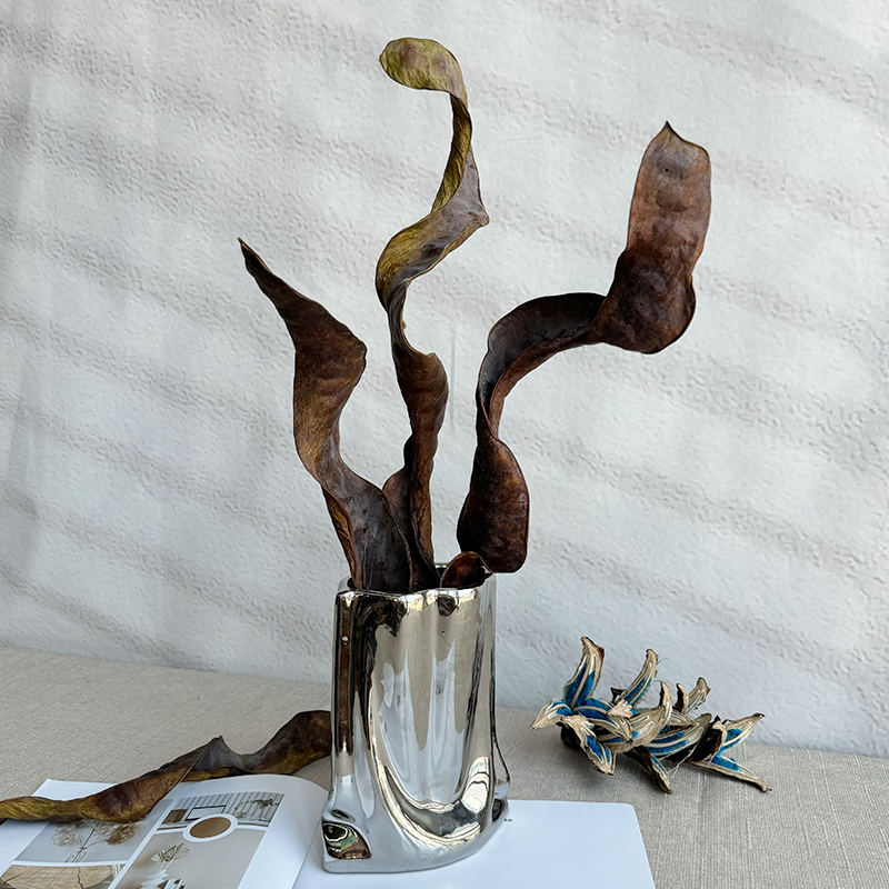 天然干花卷曲壳豆角豆荚叶片装饰摆件艺术插花家居装饰品原生态