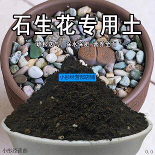 生石花专用土生石花土盆栽多肉营养土通用种花土养花泥土壤种植土