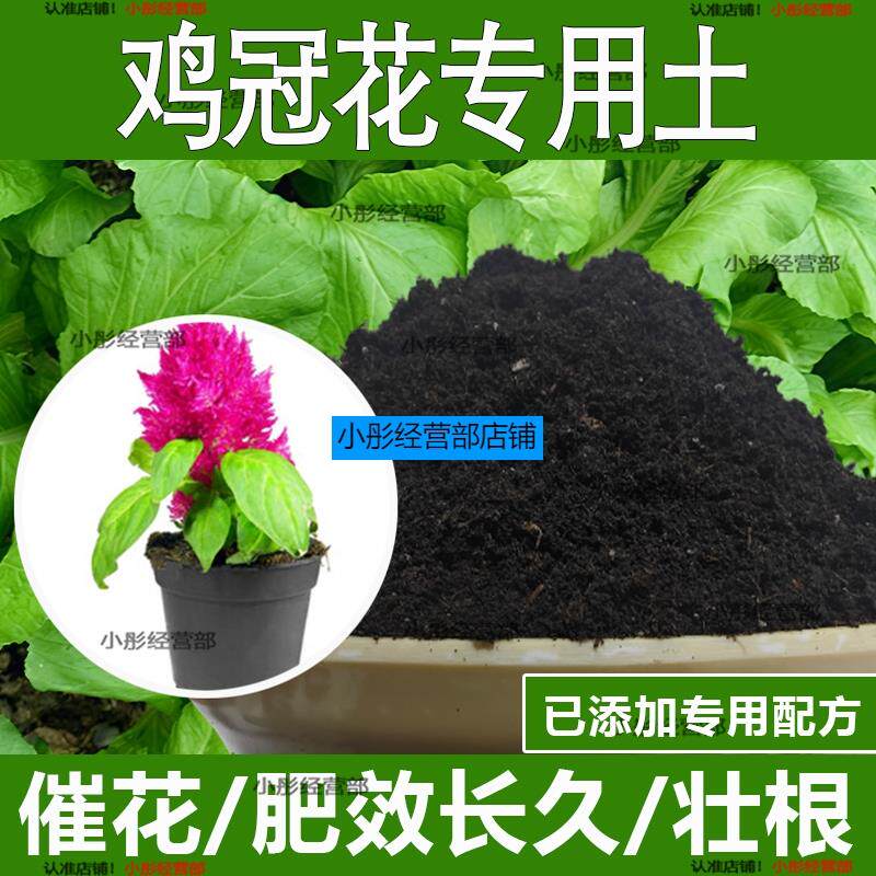 鸡冠花专用土鸡冠花专用营养土酸性土种植土通用土有机土肥料土壤