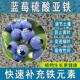 蓝莓硫酸亚铁花肥料养花绿植通用调节生长喜酸植物专用肥促生根