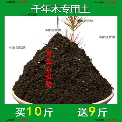 千年木专用土肥料盆栽土壤园艺养花育苗花土阳台千年木营养土蓬松