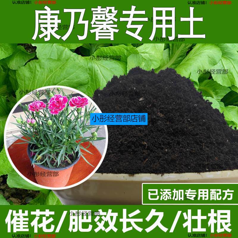 康乃馨专用土康乃馨专用营养土酸性土种植土通用土有机土肥料土壤
