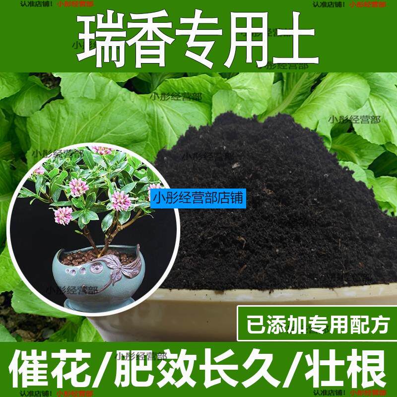 瑞香专用土瑞香专用营养土酸性土种植土通用土有机土肥料养花种花