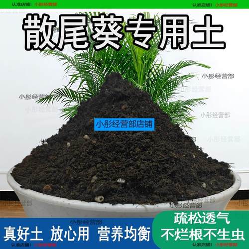 散尾葵专用土家庭盆栽土肥料种花泥土散尾葵营养土专用绿植种植土