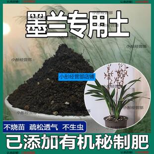 墨兰专用土 墨兰适用土 营养土疏松透气盆栽绿植专用种植土壤肥料
