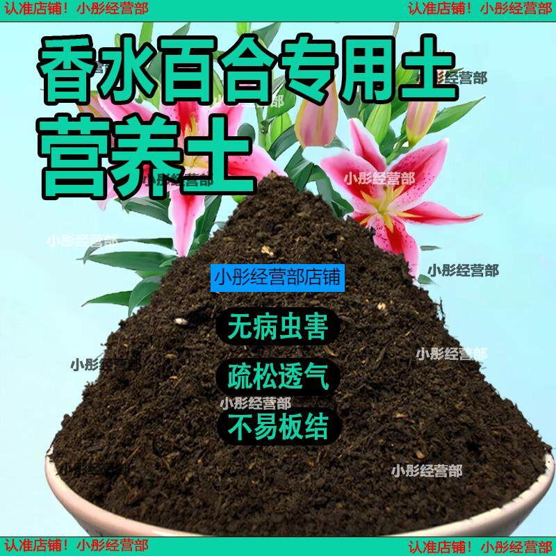 香水百合专用营养土 香水百合专用土 盆栽花土种花养花种植土壤
