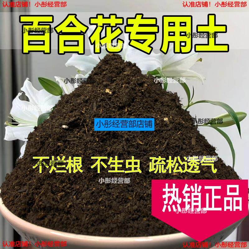 土香水百合花专用营养土营养庭院土壤用品阳台花园养花肥料植物土