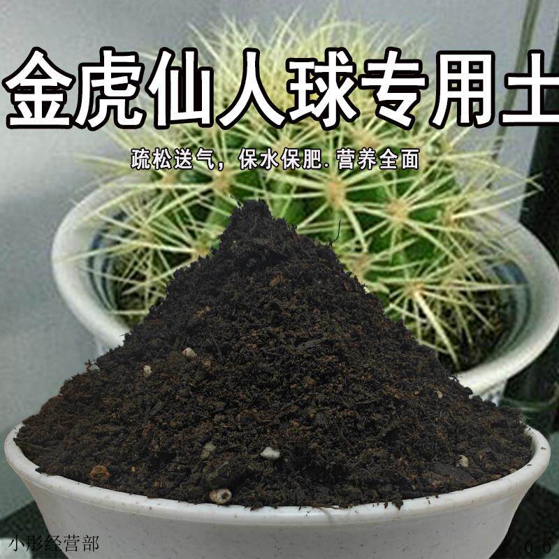 金虎仙人球专用土绿植种植土壤金虎仙人球营养土室内盆栽养花泥土