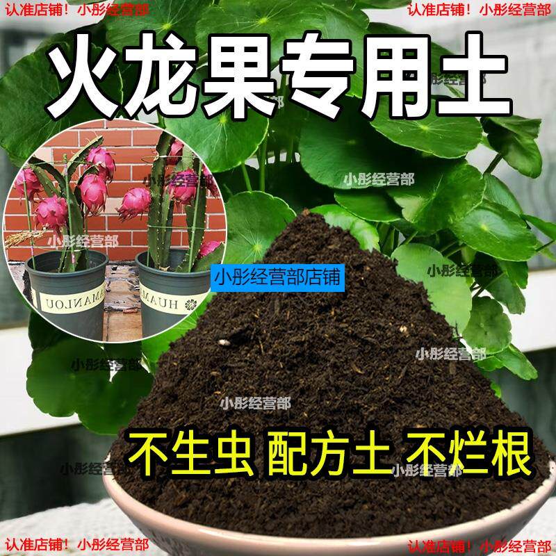 火龙果专用土肥料火龙果土营养土种植土酸性沙质土壤家用盆栽土