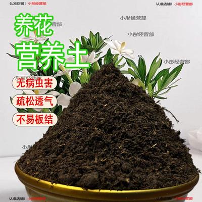 营养土养花绿植通用型肥料土壤阳台花园种菜家用有机花泥花土专用