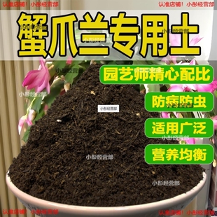 蟹爪兰专用土盆栽酸性土园艺家用营养土壤种植土通用土有机土肥料