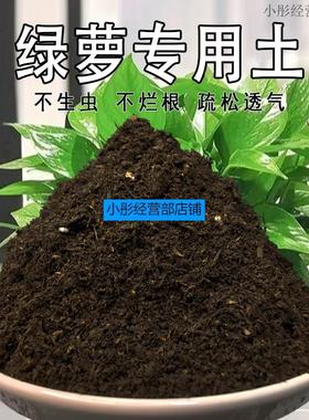 绿萝专用土长藤垂吊植物通用土壤营养土种花土有机肥料花卉种植土