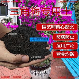 三角梅专用营养土种植花卉绿植培养土肥料家庭园艺土盆栽通用泥土