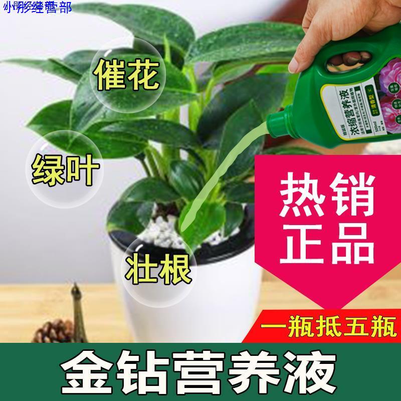 金钻营养液通用型金钻专用营养液花肥绿植植物肥料花卉绿植肥
