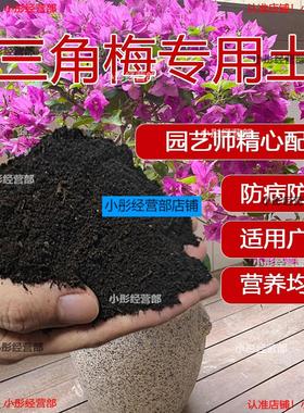 三角梅专用土种花养花泥土种植土通用肥料透气家用盆栽土营养土壤