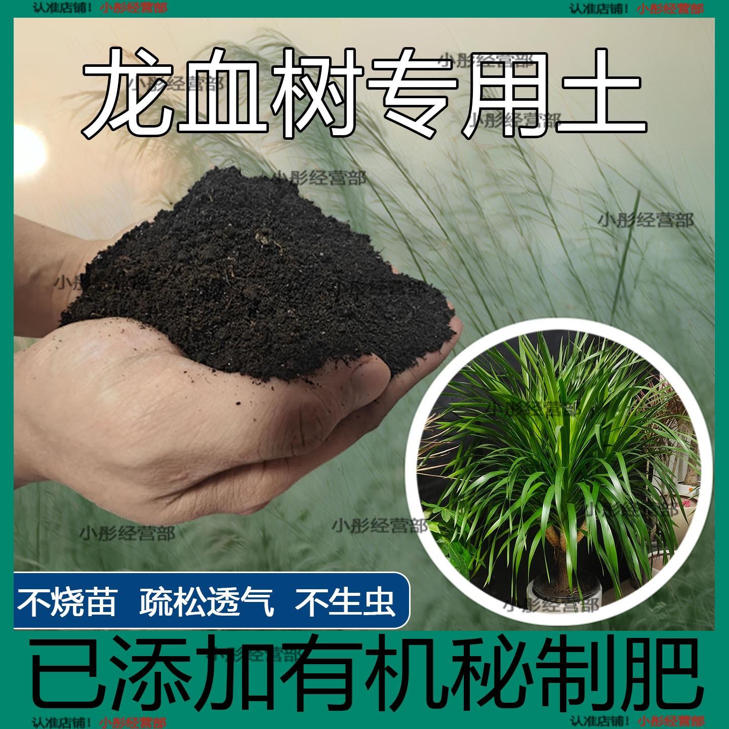 龙血树专用营养土透气疏松土种花种菜家用多肉育苗有机土养花通用