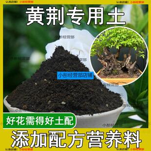 黄荆专用土盆栽阳台盆景种花养花黄荆营养土通用种植土壤有机肥料