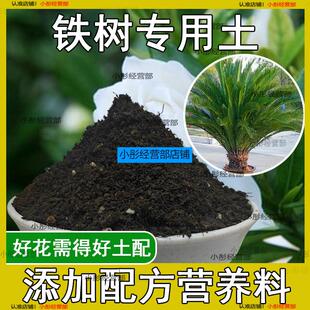 铁树专用土营养土透气通用土壤养花土壤家用种植土有机肥料培养土