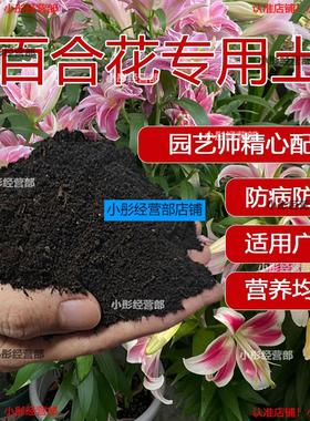 百合花专用土种花养花泥土肥料透气百合花土营养土通用盆栽土种植