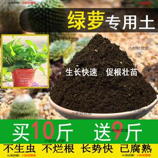 绿萝专用土绿萝专用营养土养花通用型家用种植土绿植有机土壤肥料