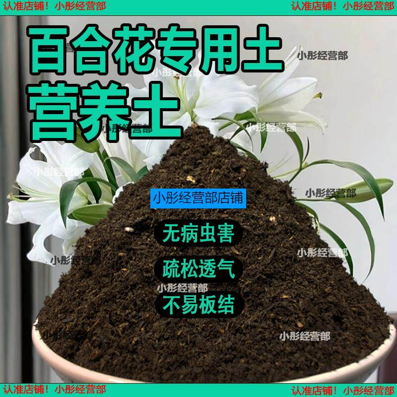 土香水百合花专用营养土营养庭院土壤用品阳台花园养花肥料植物土