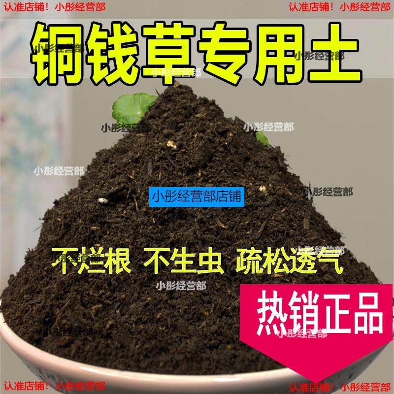 铜钱草植物土家庭盆栽养花土通用铜钱草营养土绿植种植土有机肥料