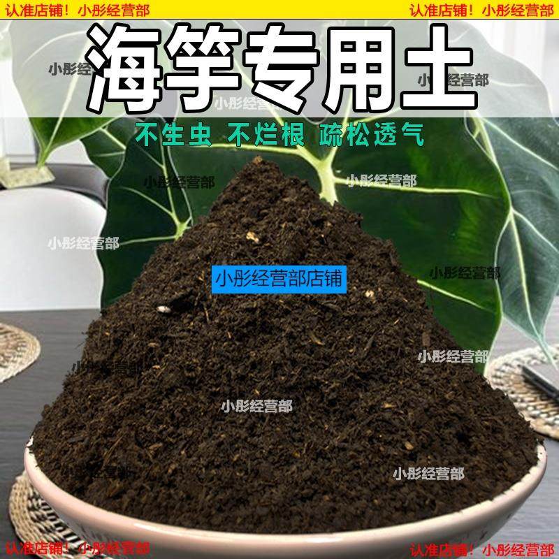 海芋专用土海芋土盆栽养花营养土通用种花土壤花卉种植土有机肥料
