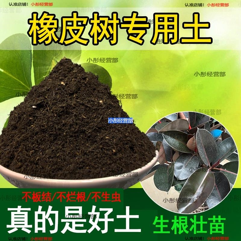 橡皮树专用土黑金刚土盆栽营养土通用种花养花泥土壤种植土有机肥