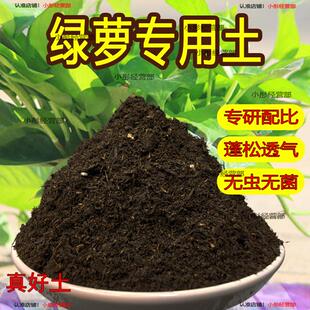 绿萝专用土绿萝专用营养土养花通用型家用种植土绿植有机土壤肥料