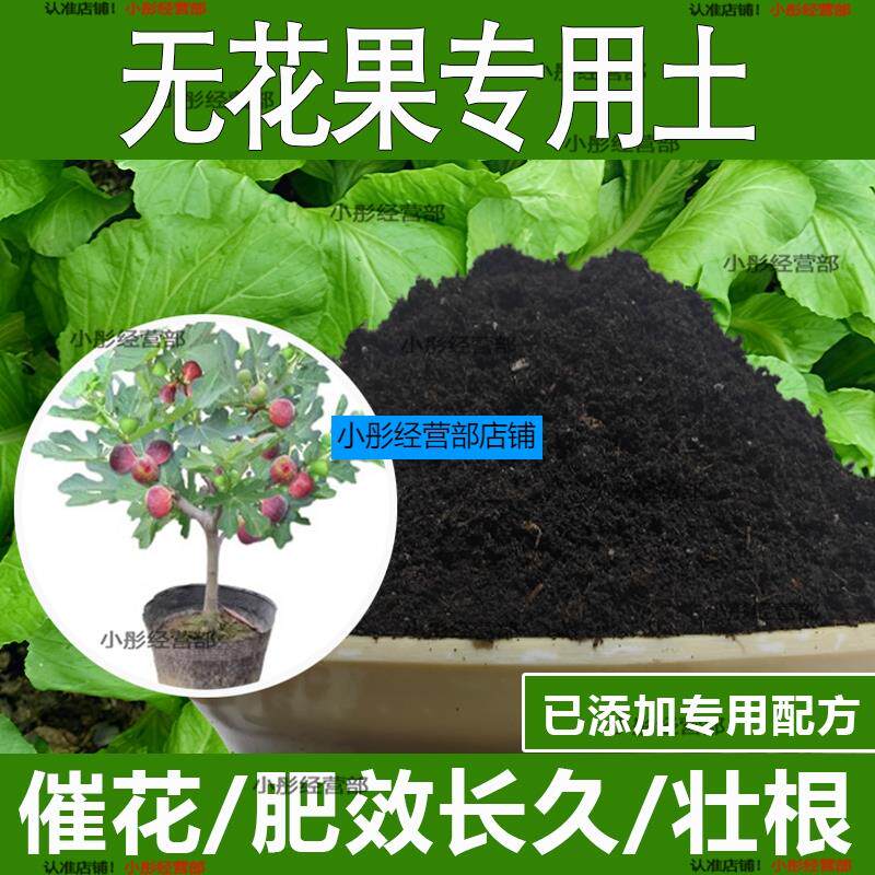 无花果专用土无花果专用营养土酸性土种植土通用土有机土肥料土壤
