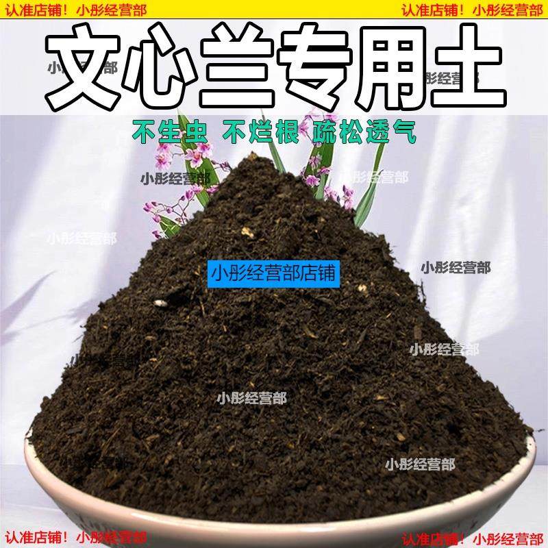 文心兰专用土家庭养花种花盆栽肥料花土文心兰营养土专用种植土壤