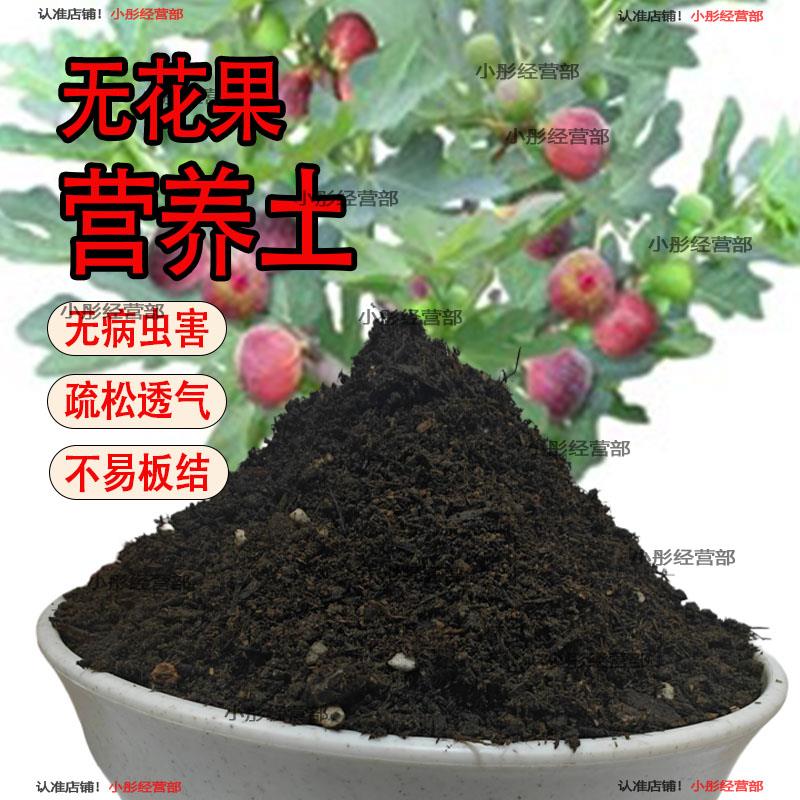 无花果专用土盆栽营养土果树专用土无花果营养土壤种植土有机肥料
