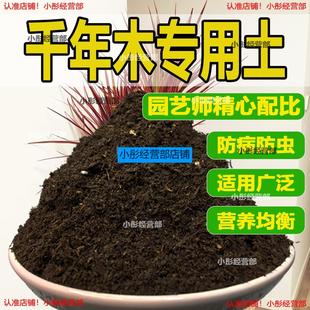 千年木专用土肥料盆栽土壤园艺养花育苗花土阳台千年木营养土蓬松