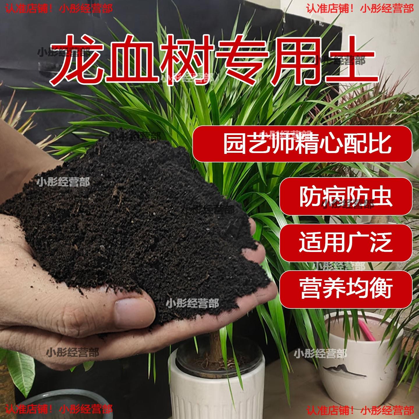 龙血树专用营养土种花种菜家用多肉育苗有机土养花通用透气疏松土