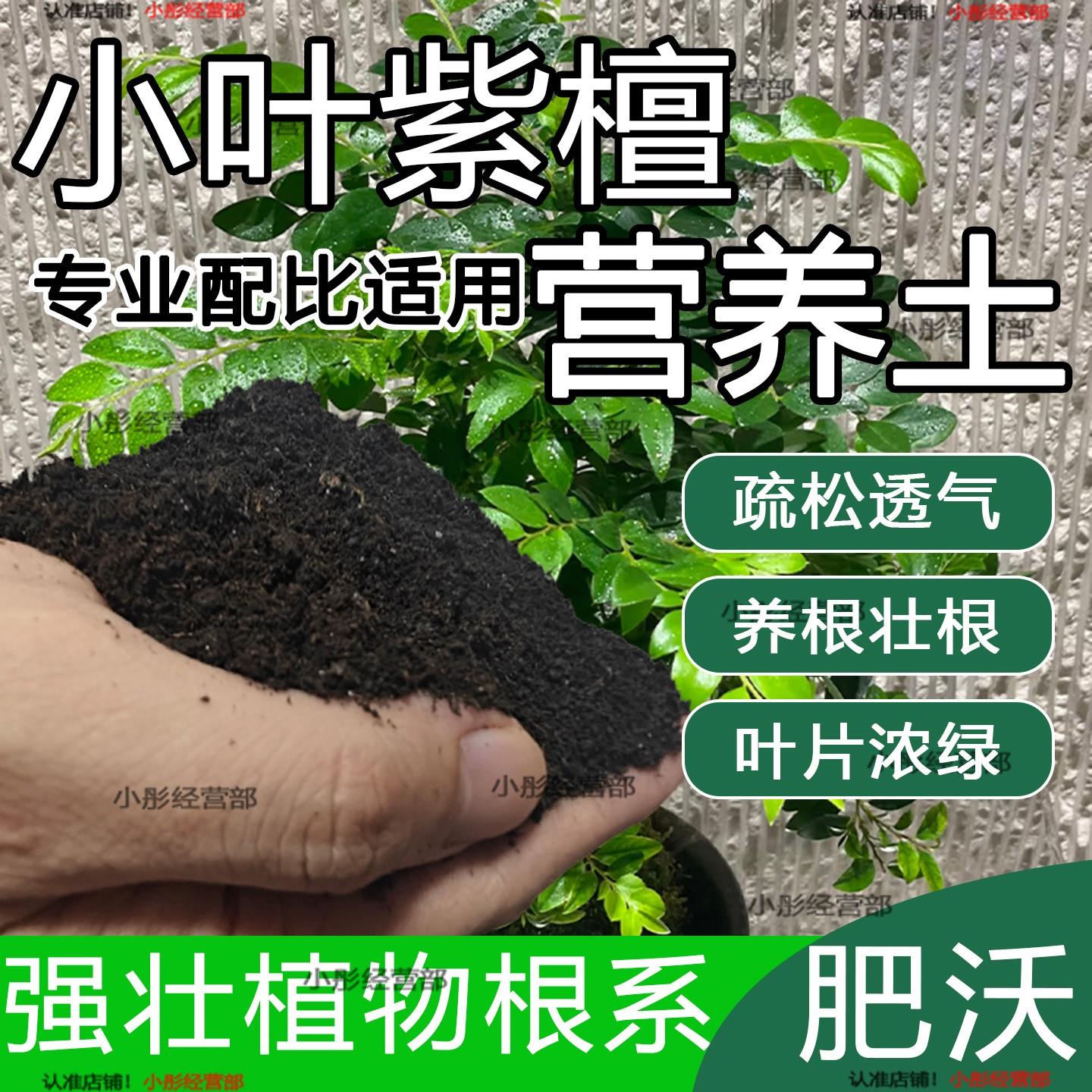小叶紫檀专用土盆栽配方肥料小叶紫檀营养土透气泥土壤养花种植土