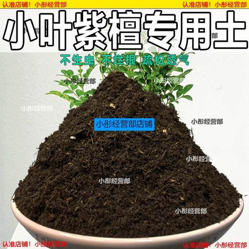 小叶紫檀专用土盆栽配方肥料小叶紫檀营养土透气泥土壤养花种植土