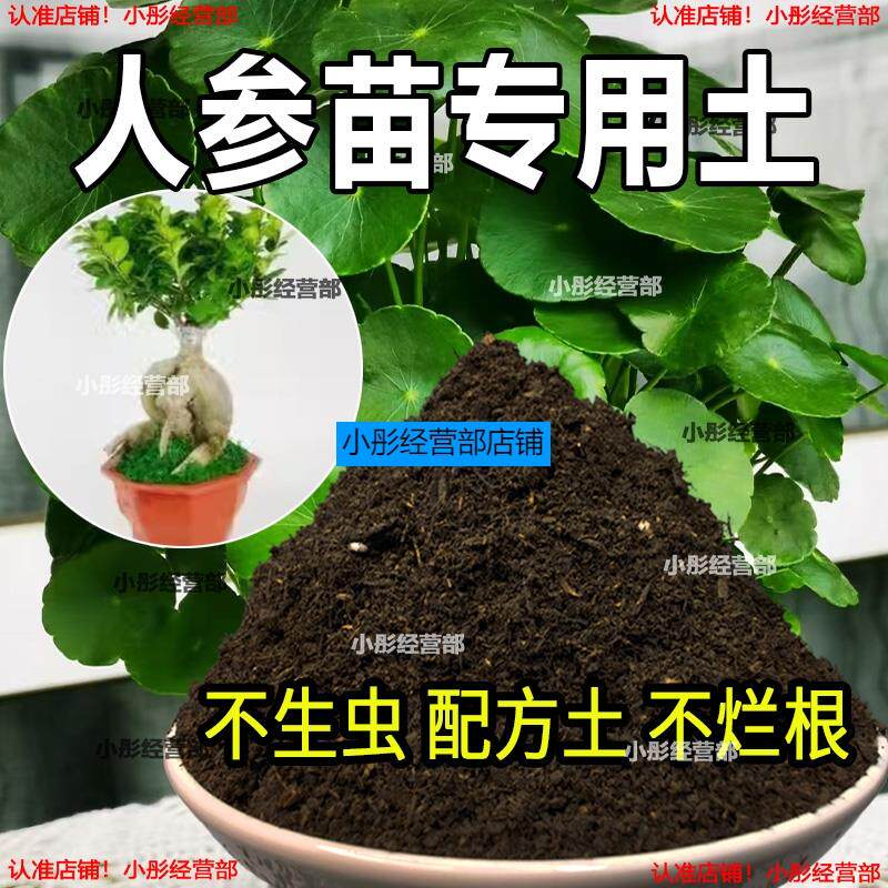 人参专用土室内阳台盆栽土酸性种植花土家庭通用有机营养土