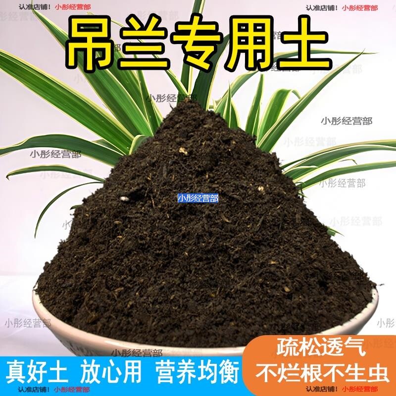 吊兰专用土营养土养花专用种养金边吊兰花通用土壤泥土种植土肥料