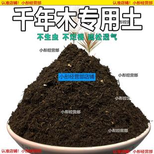 千年木专用土肥料盆栽土壤园艺养花育苗花土阳台千年木营养土蓬松